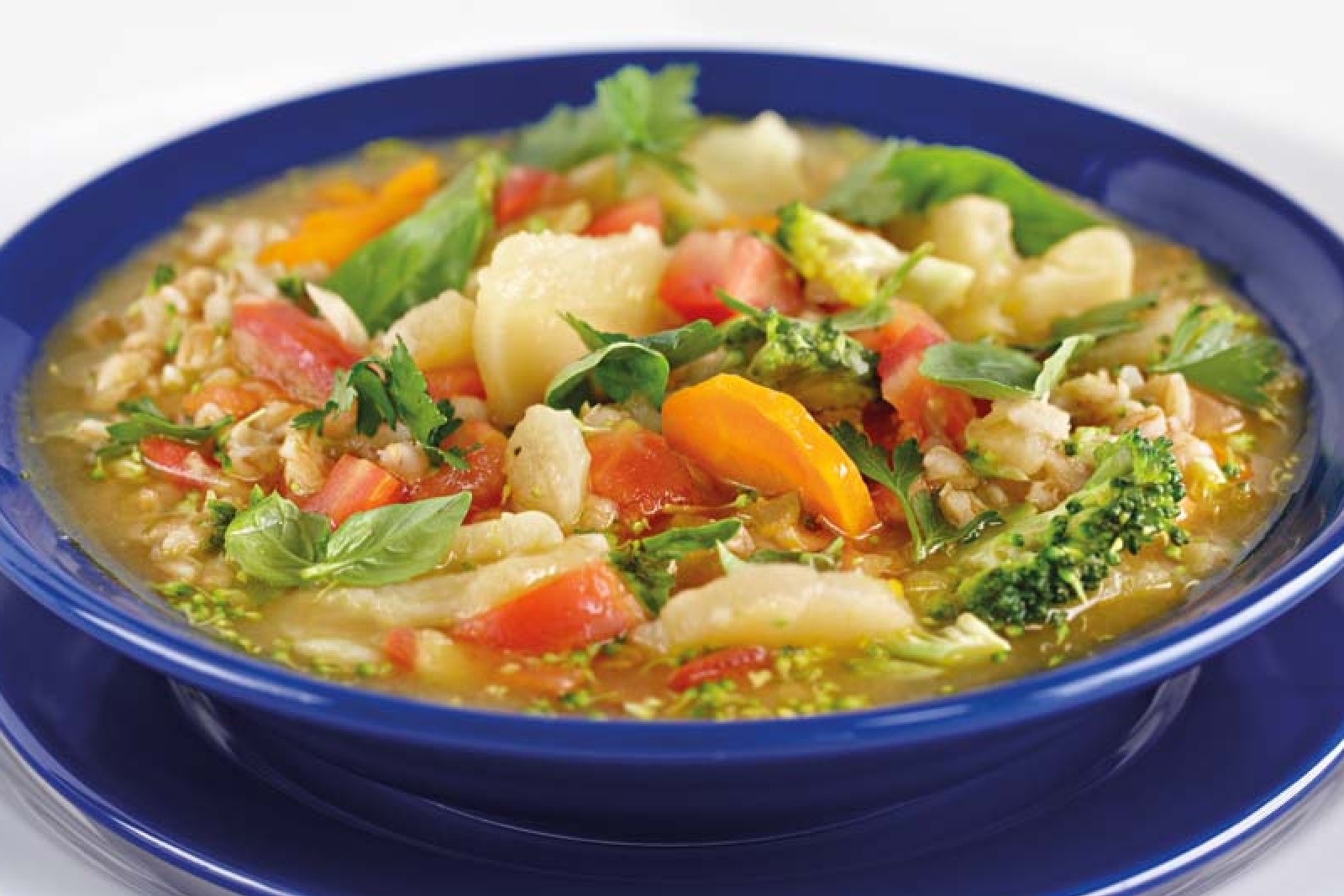 old-fashioned-vegetable-soup-recipe