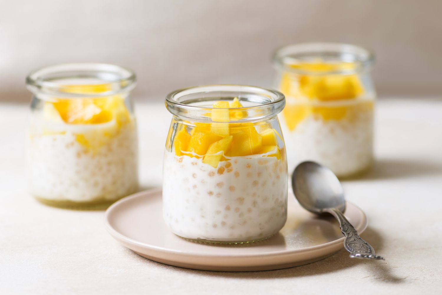 coconut-tapioca-pudding-recipe