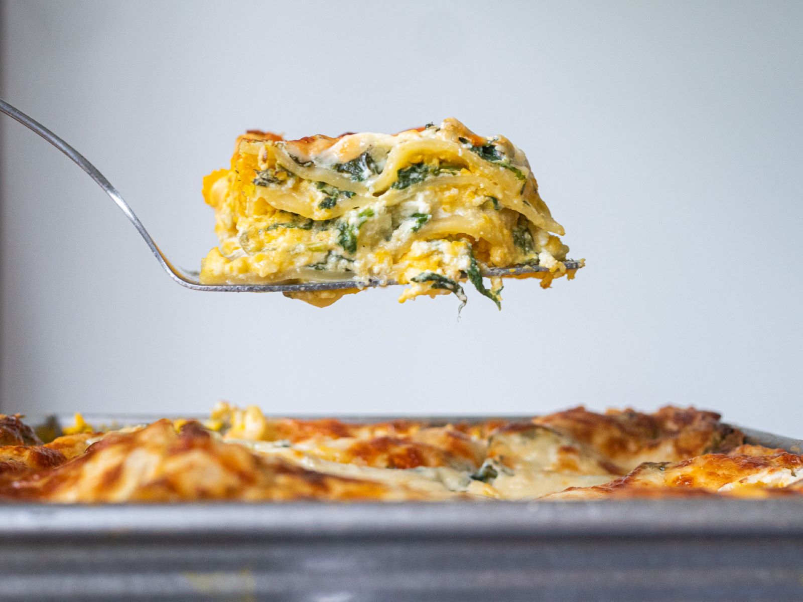 squash-spinach-lasagna-recipe