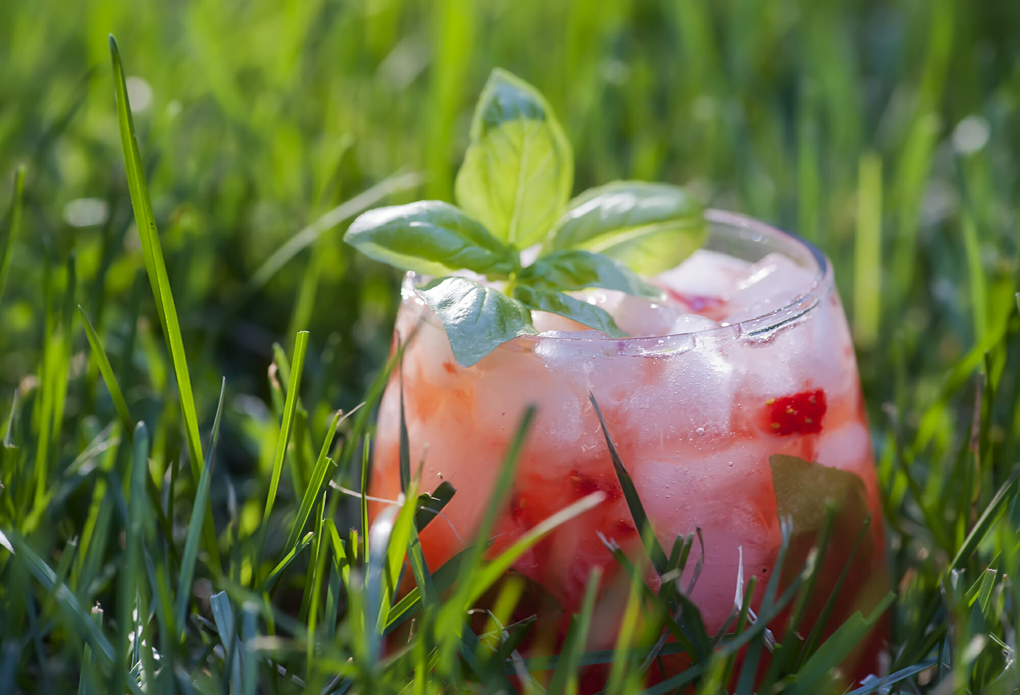 strawberry-basil-margarita-recipe