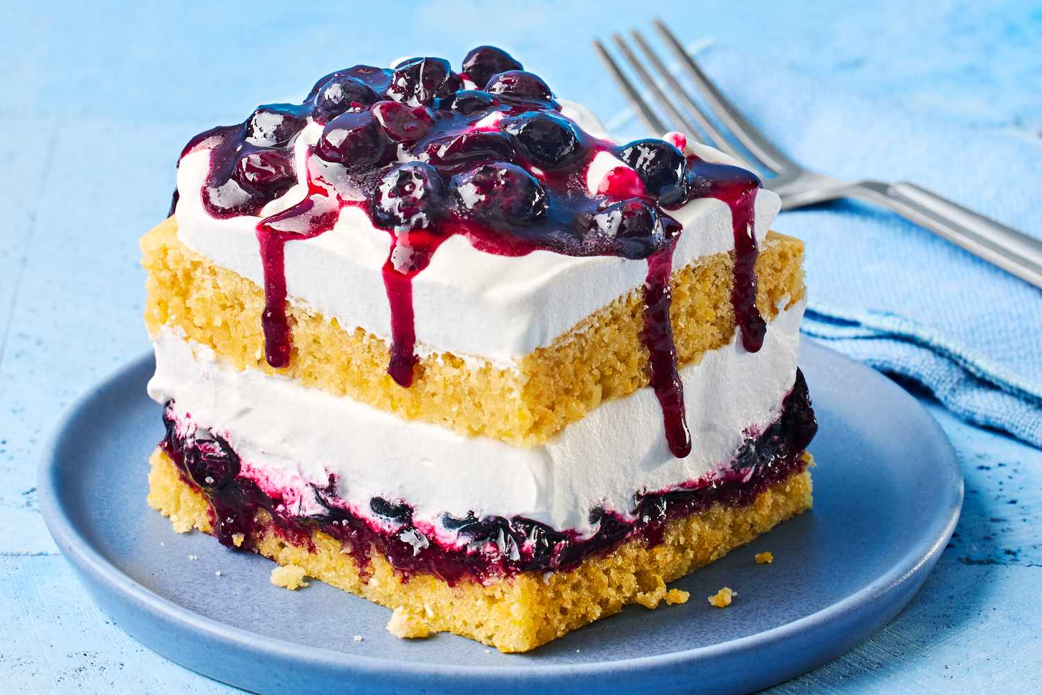 blueberry-sweetness-recipe