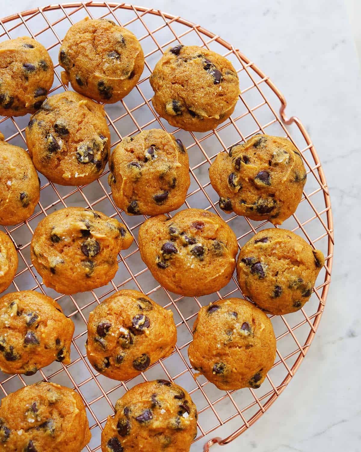 chocolate-chip-pumpkin-cookies-recipe