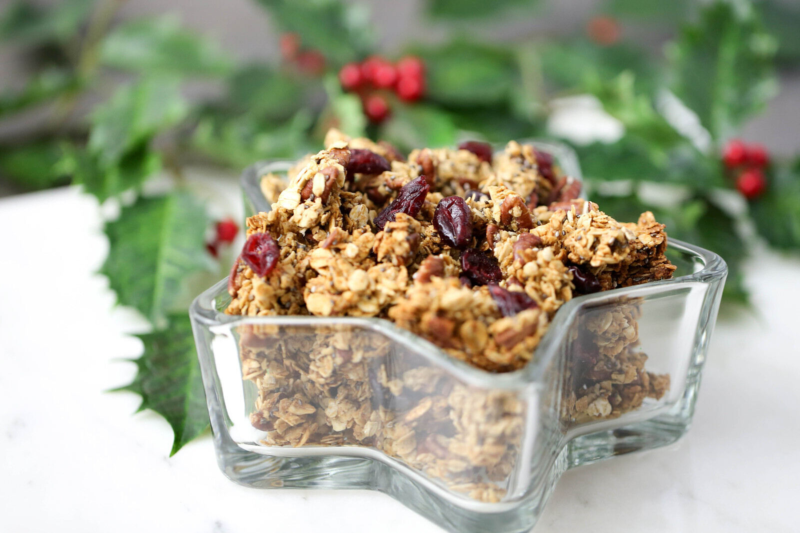 cranberry-pecan-granola-recipe