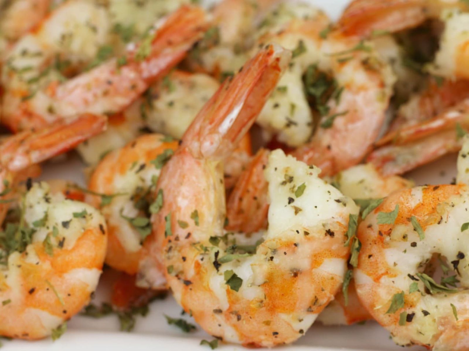 garlic-parmesan-shrimp-recipe