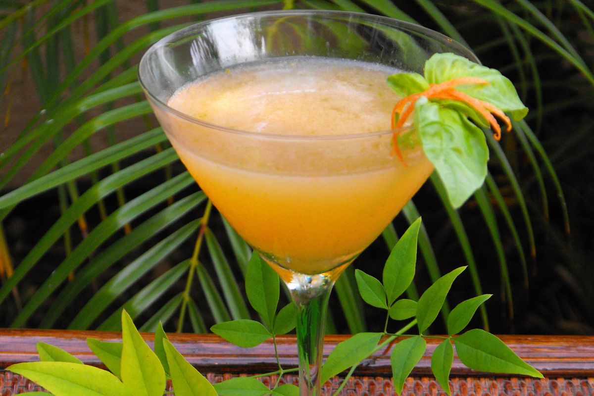 grapefruit-basil-martini-recipe