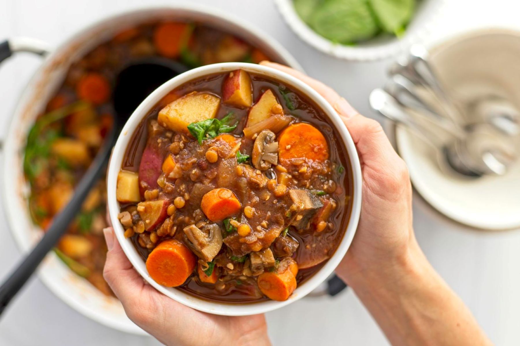 lentil-veggie-stew-recipe