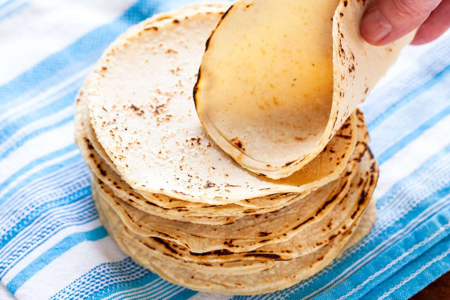 masa-harina-tortilla-recipe