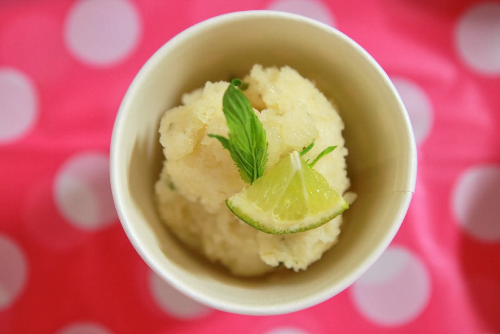 mint-lime-sorbet-recipe