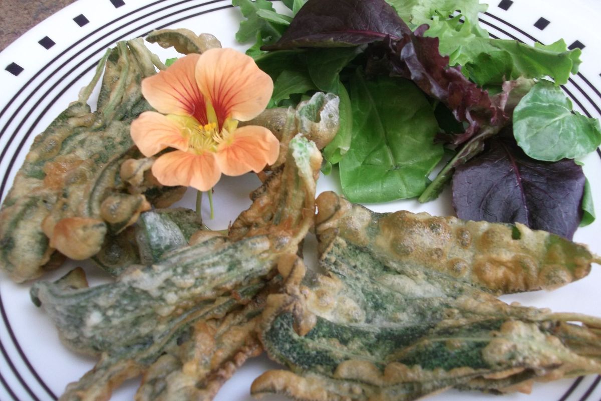 sage-leaves-recipe